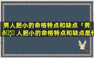 男人胆小的命格特点和缺点「男 🦟 人胆小的命格特点和缺点是什么」